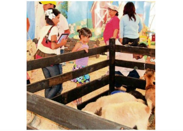 Inicia la “granjita” plan de franquicias