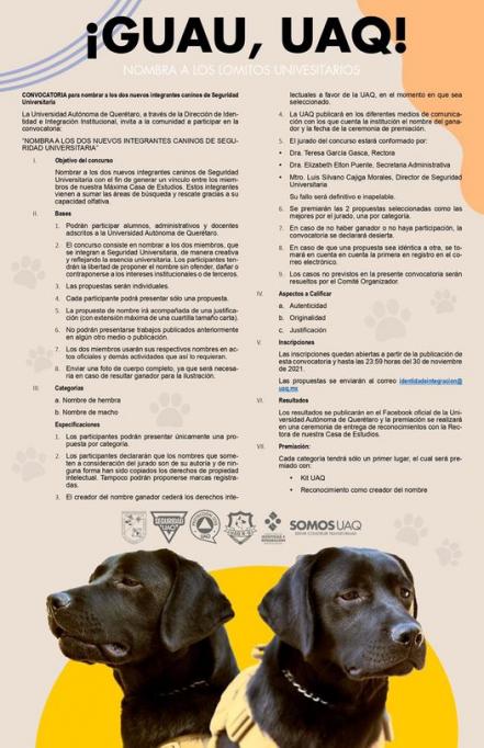 UAQ lanza convocatoria para nombrar a los dos nuevos lomitos universitarios 