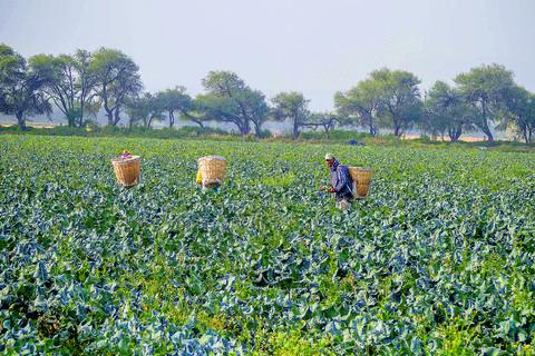 Respalda a pequeños productores rurales