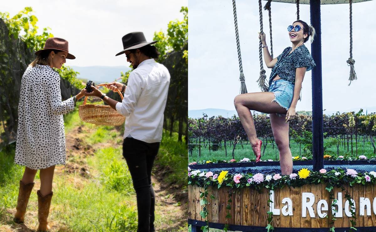 Vendimias de Querétaro. Calendario para disfrutar las fiestas de vino en 2022