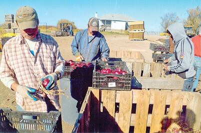 Reactivarán clubes de migrantes