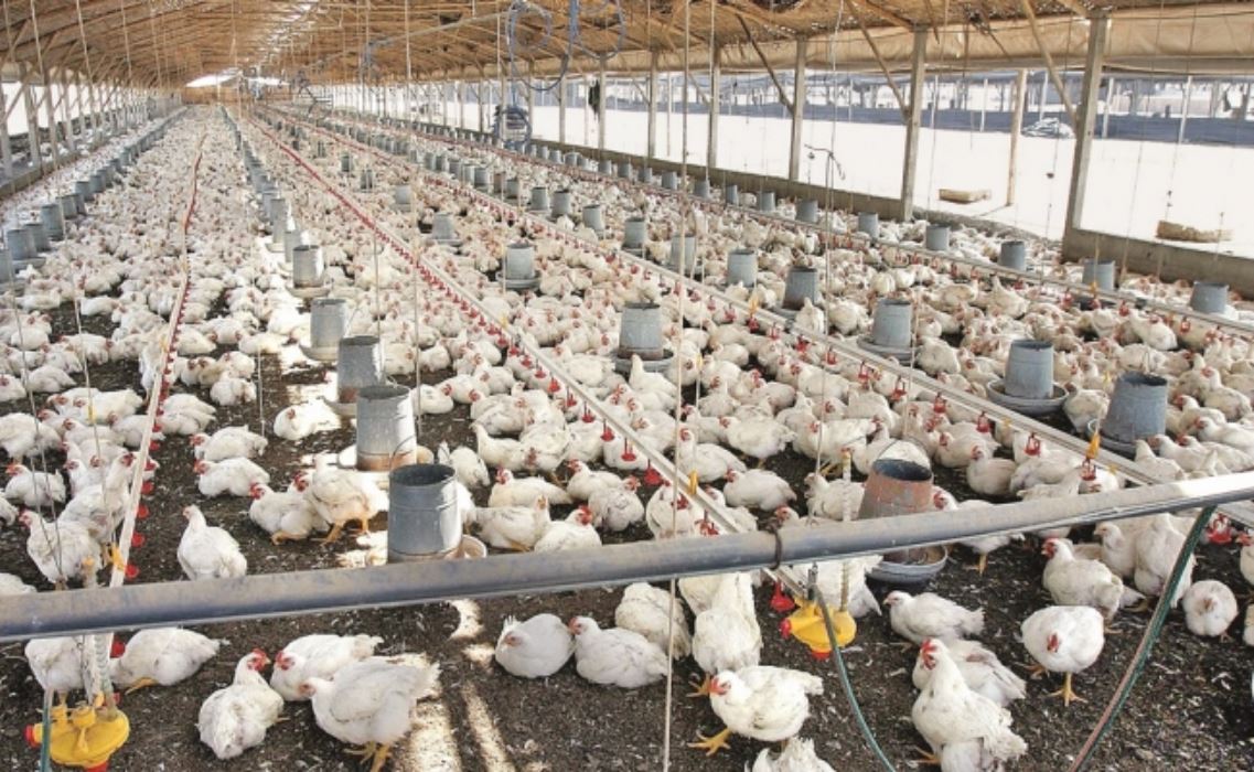 Foto: Archivo/EL UNIVERSAL