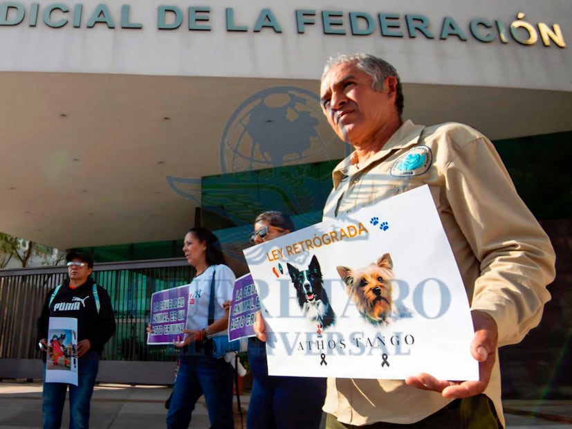 FOTO. FERNANDO CAMACHO