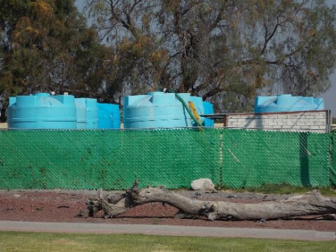 El abasto es por tandeo