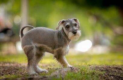 Hoy termina el registro a concurso fotográfico