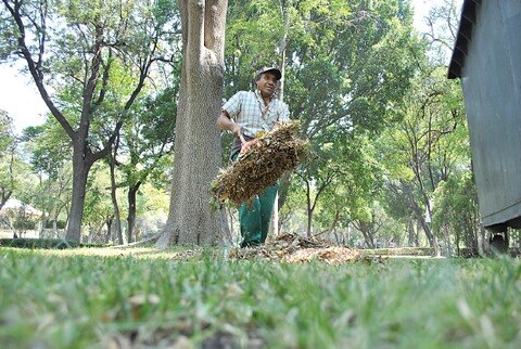 Limpia y embellece la alameda