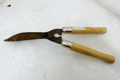 Aseguran sujeto por robo a casa en SJR