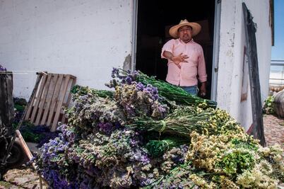 Lluvia "ahoga" a Rancho Tucajay en San Juan del Río