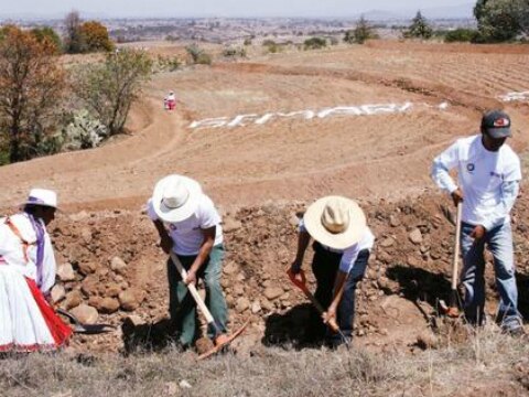 Cobertura en piso firme
