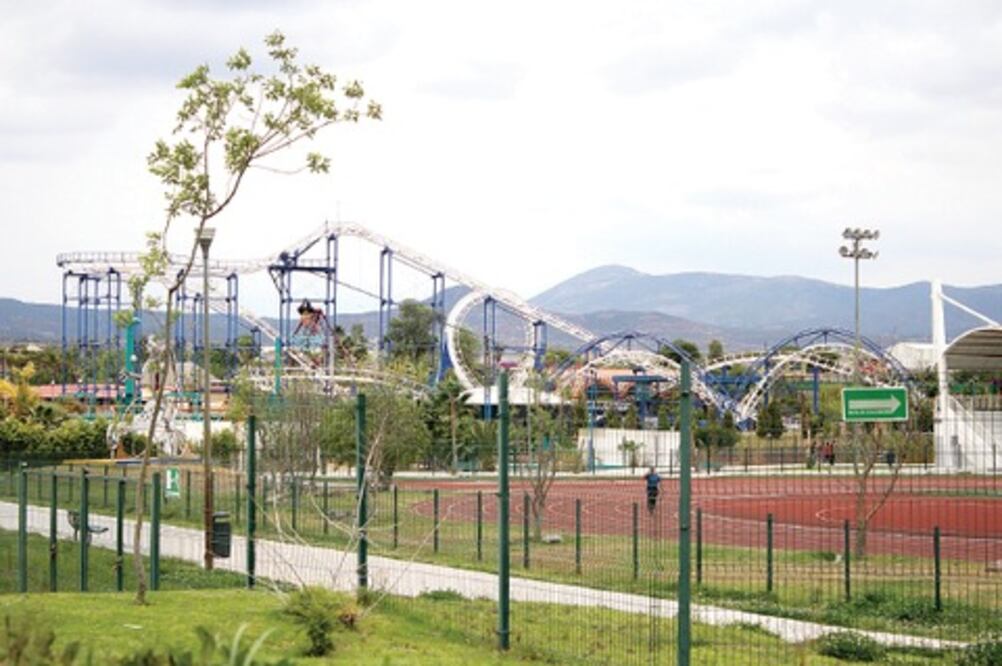 Buscan dar difusión y apoyo al sector apícola