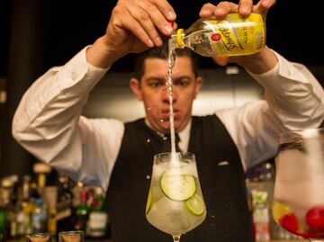 Cena, antro y fiesta, ¡todo reunido en Kasa Apolonia!