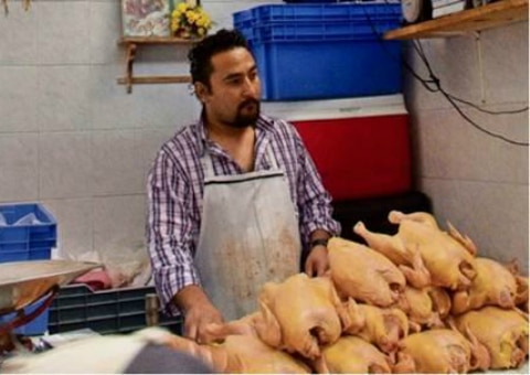 Querétaro principal productor de carne de pollo 
