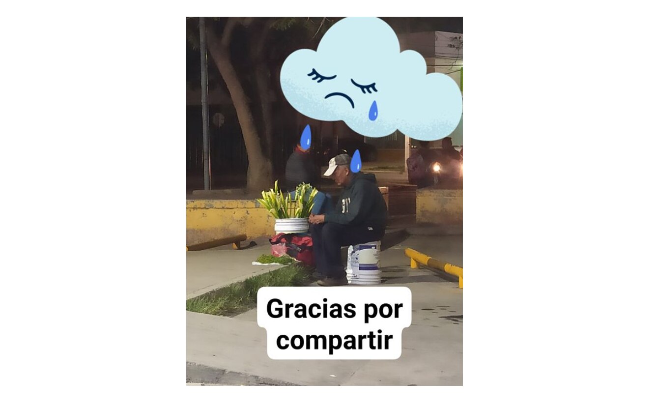 Convocan a usuarios para comprar flores a abuelito comerciante