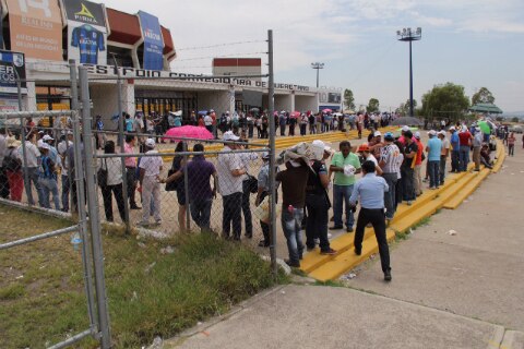 El optimismo prevalece en emplumados