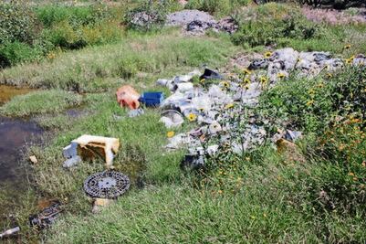 Realizan foro ambiental para crear agenda legislativa del tema