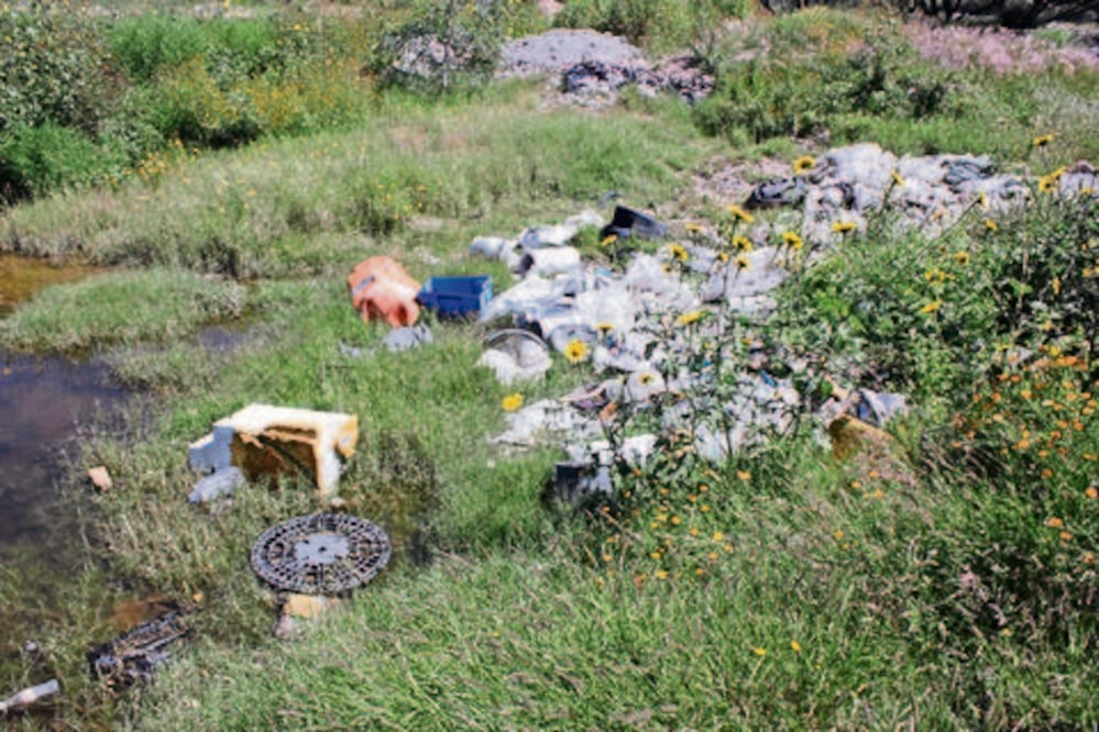 Realizan foro ambiental para crear agenda legislativa del tema