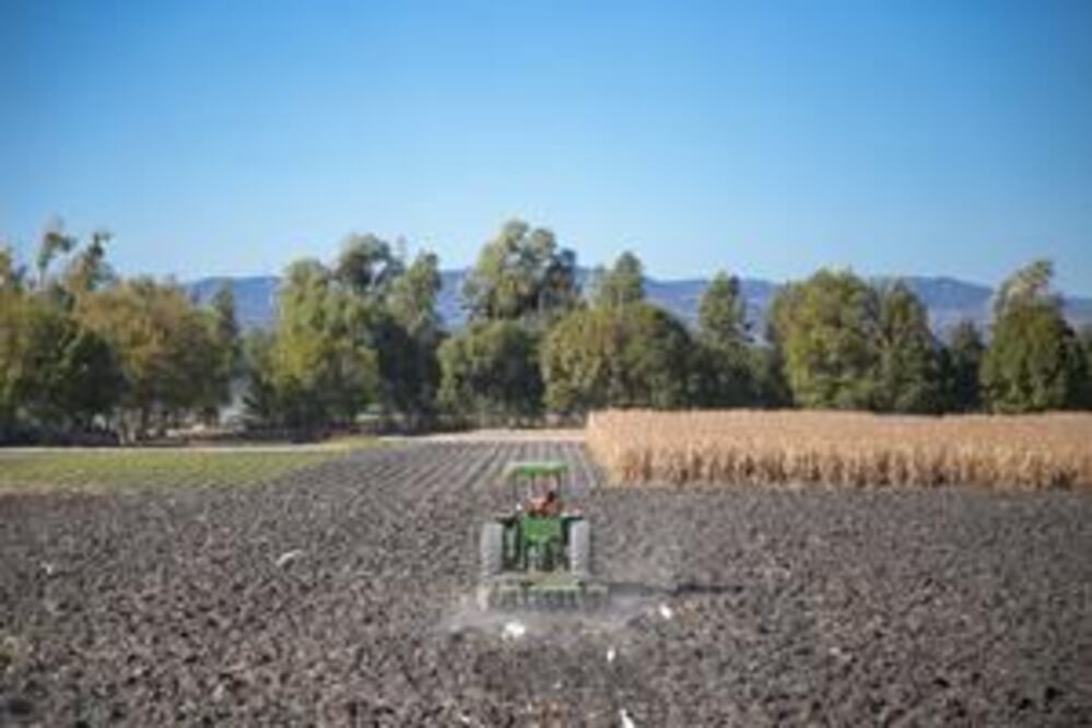Aumenta exportación del agro queretano
