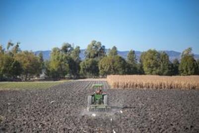 Aumenta exportación del agro queretano