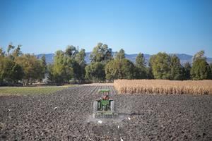 Aumenta exportación del agro queretano