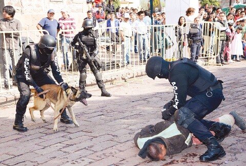 Ayuda para atrapar criminales