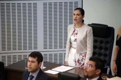 Elsa Méndez pretende burlar a la ley: analista 