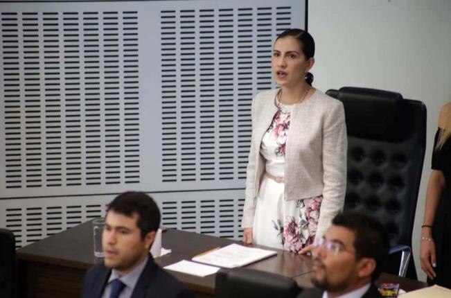 Elsa Méndez pretende burlar a la ley: analista