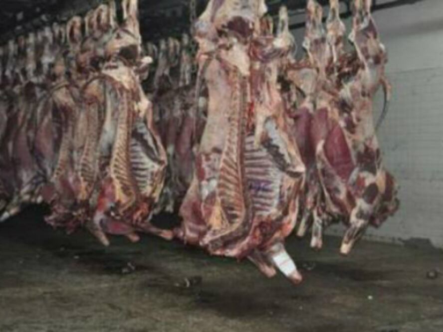 Proyecta EM rastro TIF