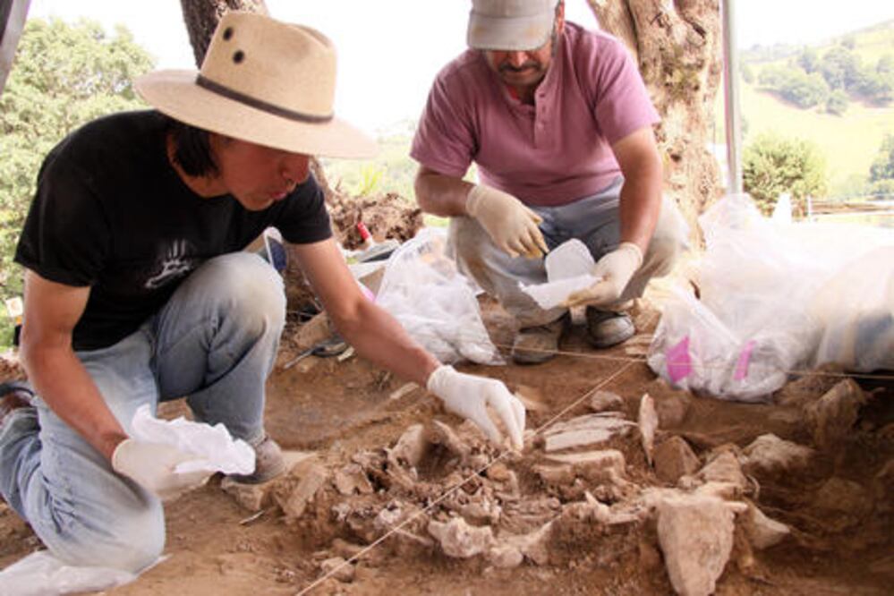 Hallan restos óseos de mamut en Querétaro