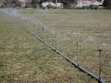 Promueve Sagarpa riego por goteo 