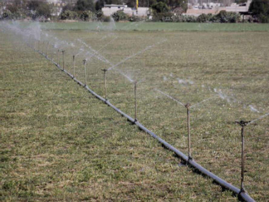 Promueve Sagarpa riego por goteo