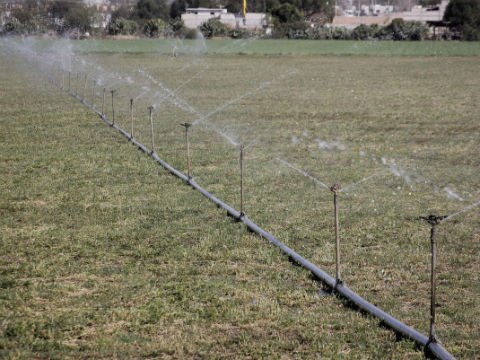 Promueve Sagarpa riego por goteo