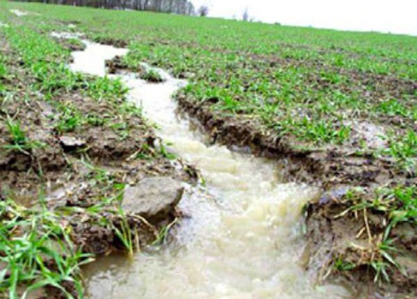 Aguas residuales contaminan suelos