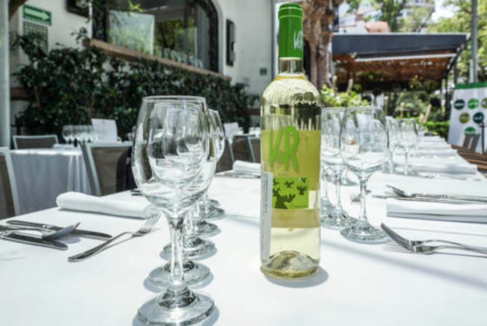 Presentan vinos con verdejo