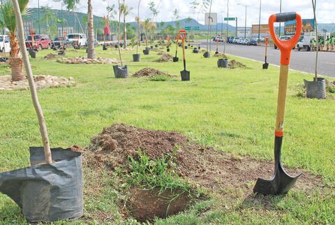 Urge planeación en ciudades e invertir en ecología