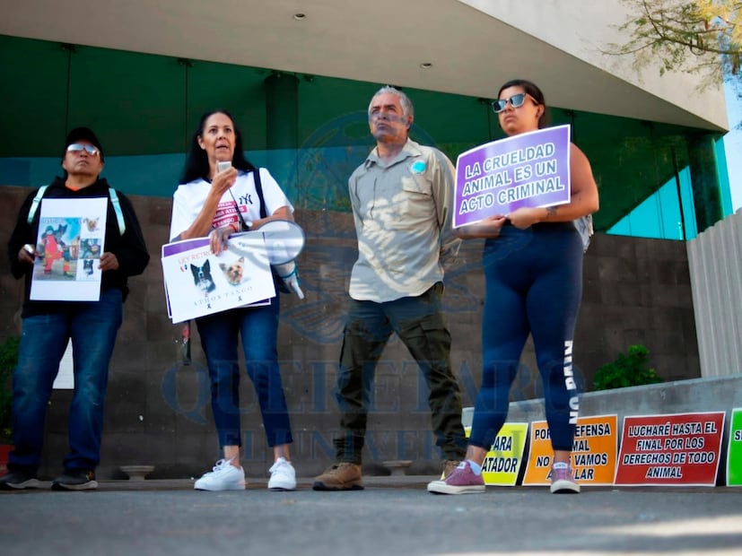 FOTO. FERNANDO CAMACHO