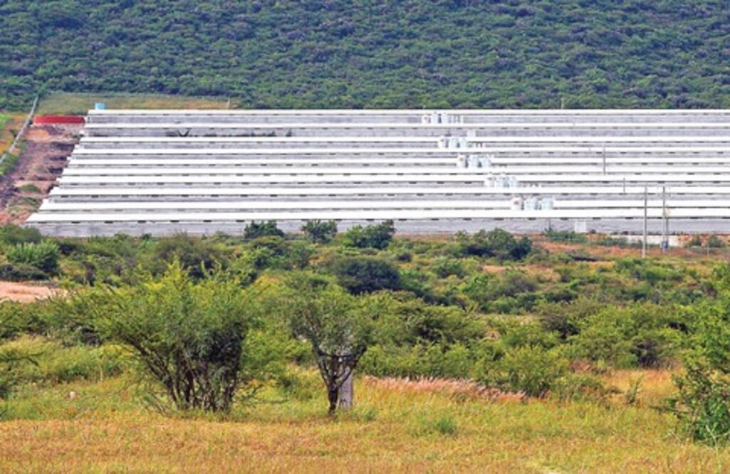 Comenzará la producción