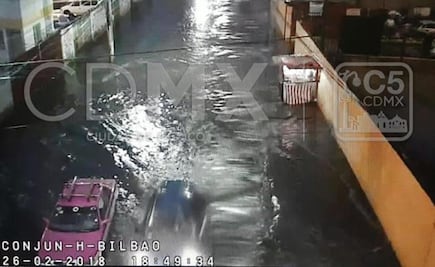 Lluvia y granizo tiran árboles y bardas en CDMX