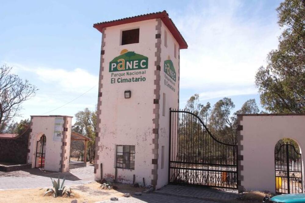 Foto: ARCHIVO. EL UNIVERSAL