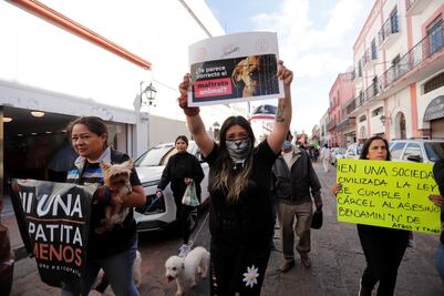 Convocan a marchar contra el maltrato animal en Querétaro