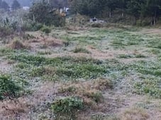 Detectan presencia de hielo en comunidad de La Cañada