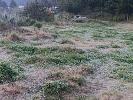 Detectan presencia de hielo en comunidad de La Cañada