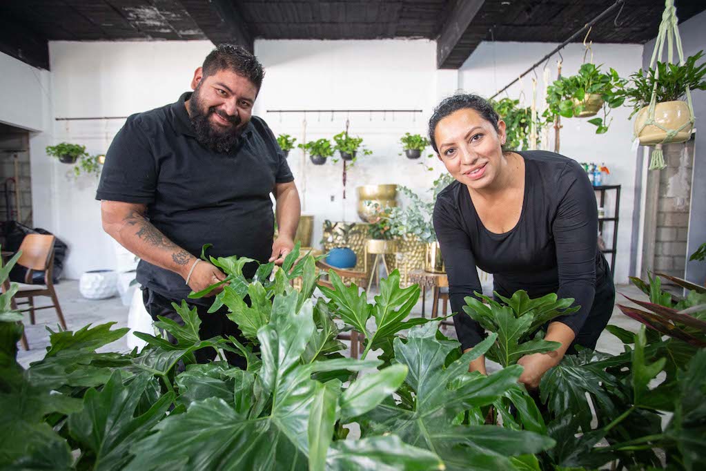 Emprenden en Querétaro proyecto de paisajismo y decoración de espacios con plantas