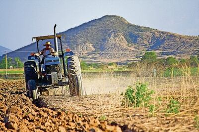  Afectó sequía a 90% de sembradíos en SJR