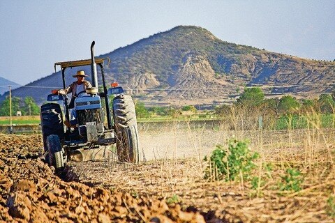 Afectó sequía a 90% de sembradíos en SJR