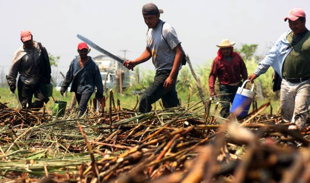 Demandan jornaleros derechos laborales 