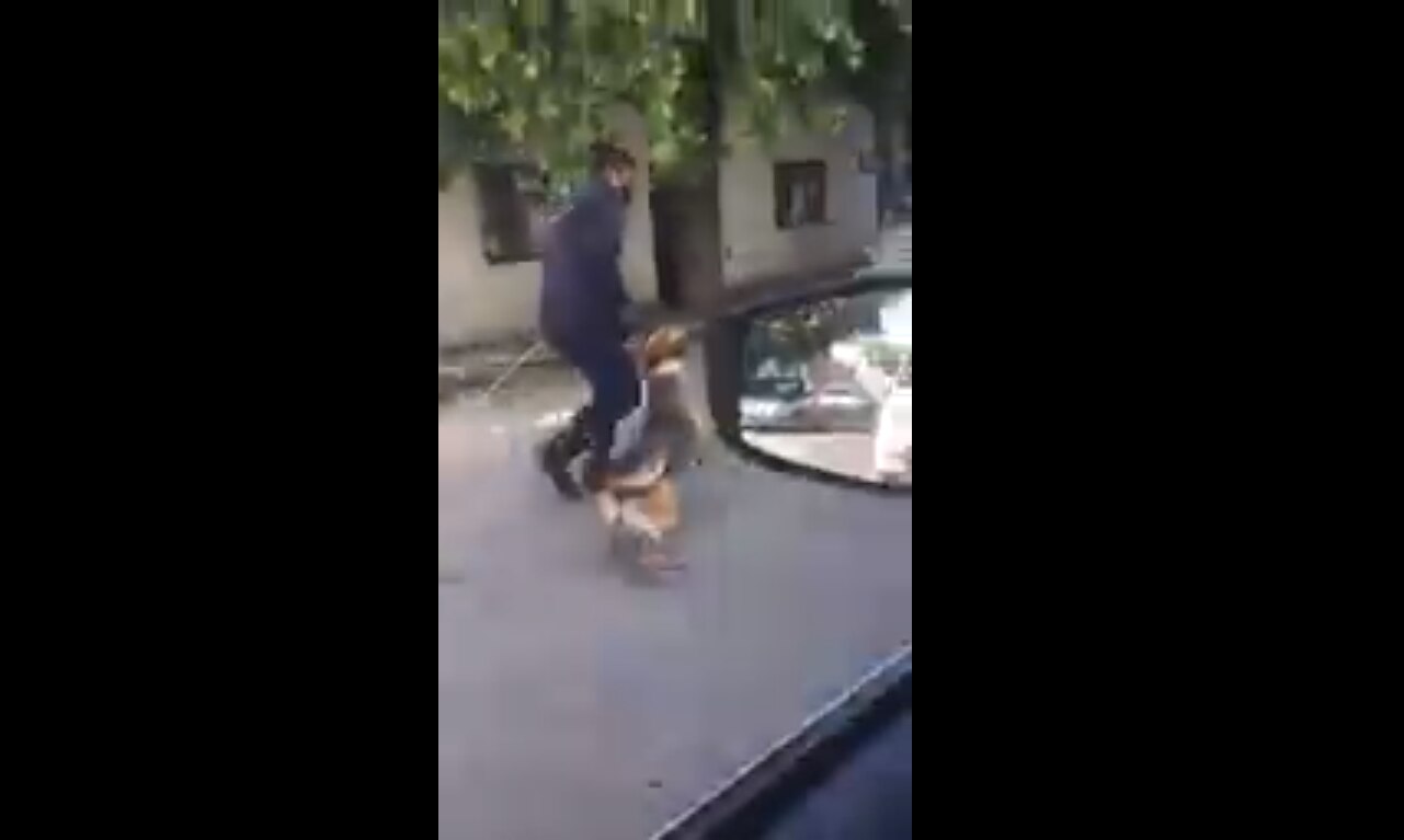 Foto: Captura de pantalla