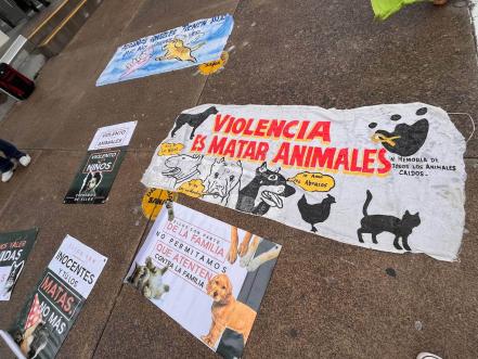 Inicia primer juicio por maltrato animal en Querétaro; piden justicia para Athos y Tango 