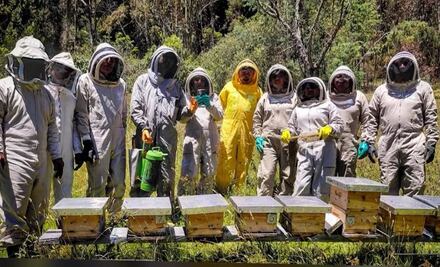 IMPA de El Marqués busca mejorar manejo de abejas
