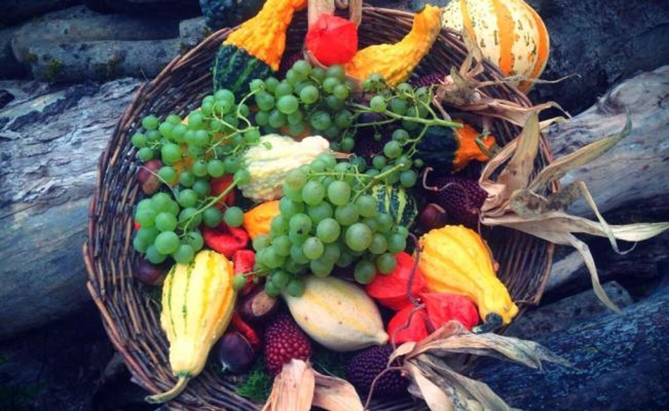 Los alimentos ecológicos se caracterizan por ser cultivados de manera natural sin usar pesticidas que dañen el medio ambiente. (Foto: Pexels)