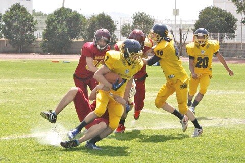 Felinos obtienen grandes resultados